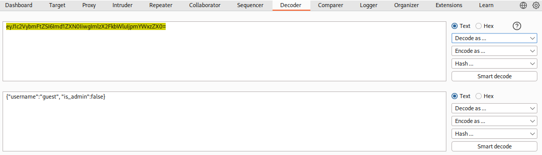Decoder tab showing encoded string and its decoded JSON output with options for text, hex, and smart decode.|650