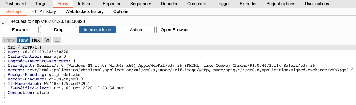 Burp Intercept Page