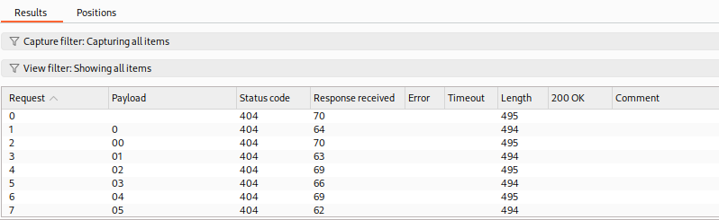 Results table showing requests with payloads, all with status 404, length 458.|600