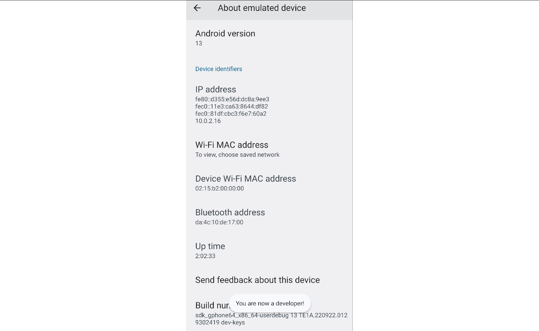 About emulated device screen showing Android version 13, IP address, Wi-Fi MAC address, device Wi-Fi MAC address, Bluetooth address, up time, and build number.