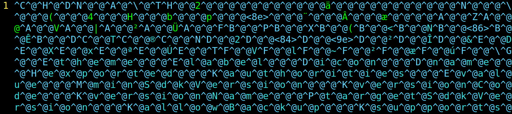 A screen displaying a sequence of random symbols and characters, starting with "1 ^C^@^H^@^D^N^...".