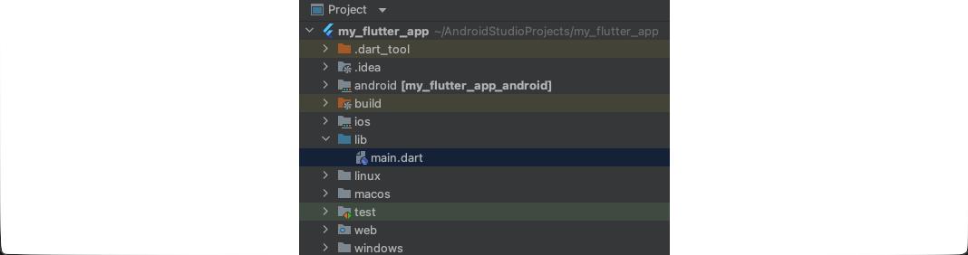 Project Explorer showing Flutter app structure: .dart\_tool, .idea, android, build, ios, lib with main.dart, linux, macos, test, web, windows.