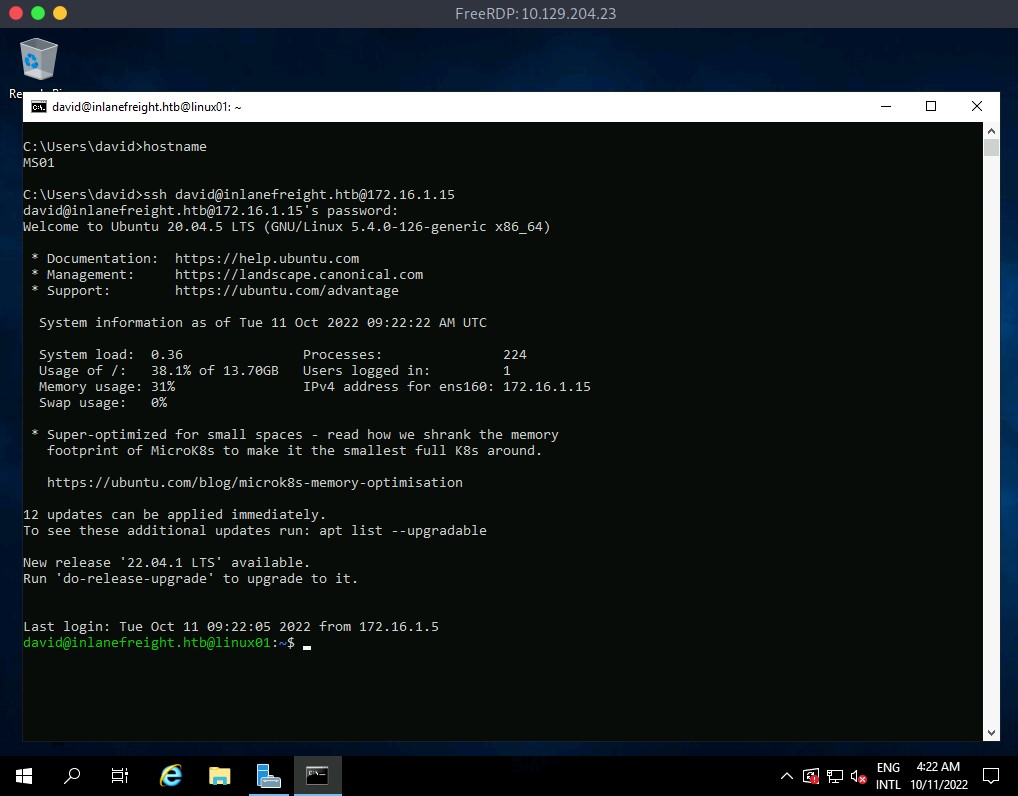 Remote desktop session showing a terminal with Ubuntu system information, including hostname 'MS01', system load, memory usage, and update notifications.